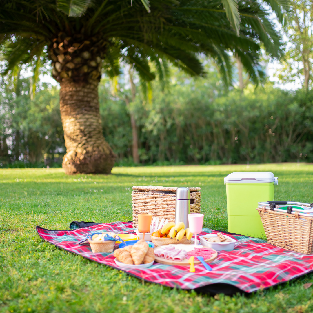 5 bons conseils pour organiser un pique-nique